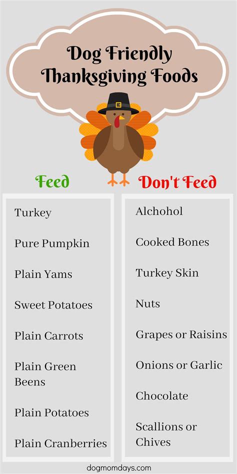 How To Include Your Dog In Thanksgiving Dog Mom Days Dog