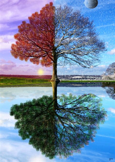 The Tree Of Four Seasons By Montelsg On Deviantart