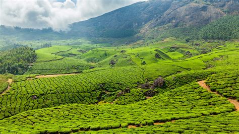 How To Plan A Perfect Holiday Trip To Kerala In India
