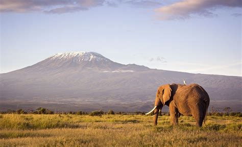 The Top 12 National Parks To Visit In Africa