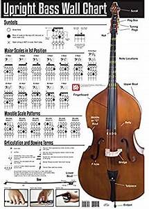 Poster Upright Bass Wall Chart For Double Bass Upright Bass Double