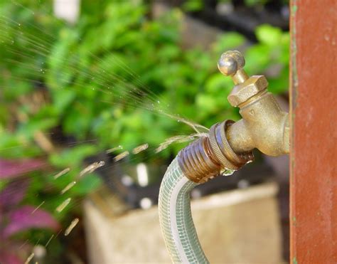 How To Connect Two Garden Hoses Together Outdoor Life And Activities