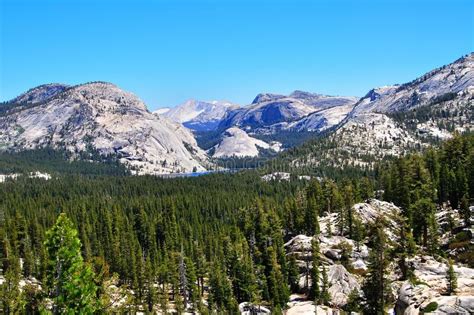 Wide Angle Photography In Yosemite National Park With Mountains Stock