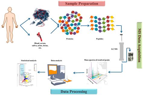 Ijms Free Full Text The Relevance Of Mass Spectrometry Analysis