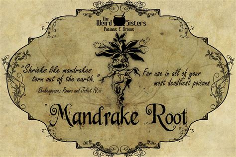 Mandrake Label Harry Potter Decor And Props Pinterest Harry
