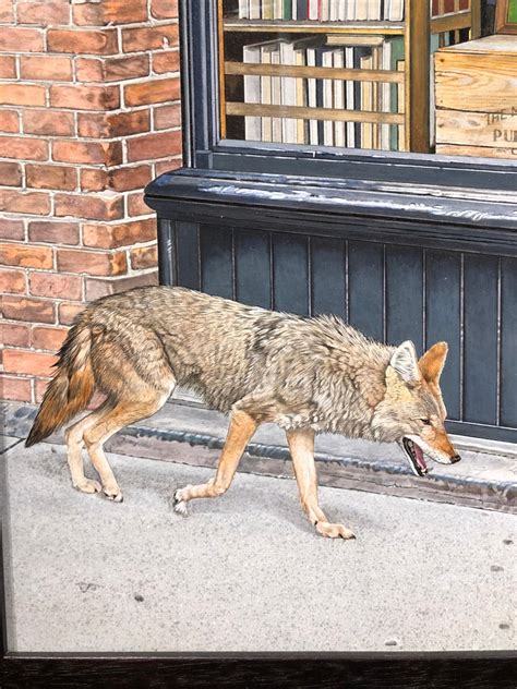Rick Pas Urban Coyote Highly Detailed Photorealist Painting Of