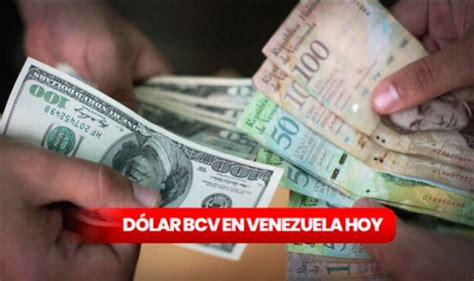 Precio Del Dólar Hoy Tasa De Cambio Actualizada Del Banco Central De Venezuela 12 De Abril De 2023