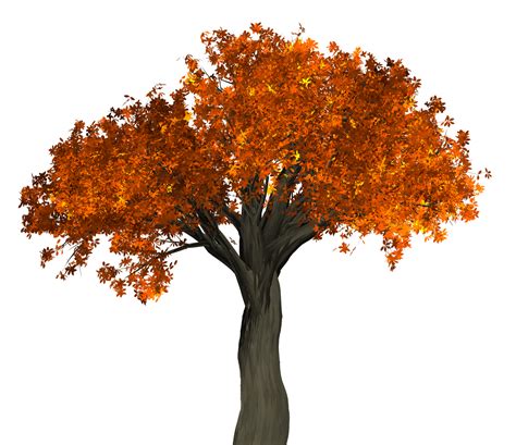 Autumn Tree Png Image Purepng Free Transparent Cc0 Png Image Library