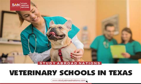 10 Veterinary Schools In Texas 2023