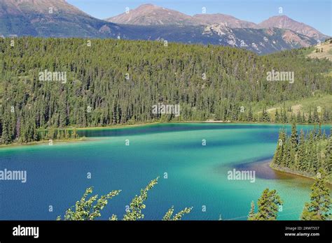 Xtransparent Clear Lake With Green Water Colour Forest And Mountains
