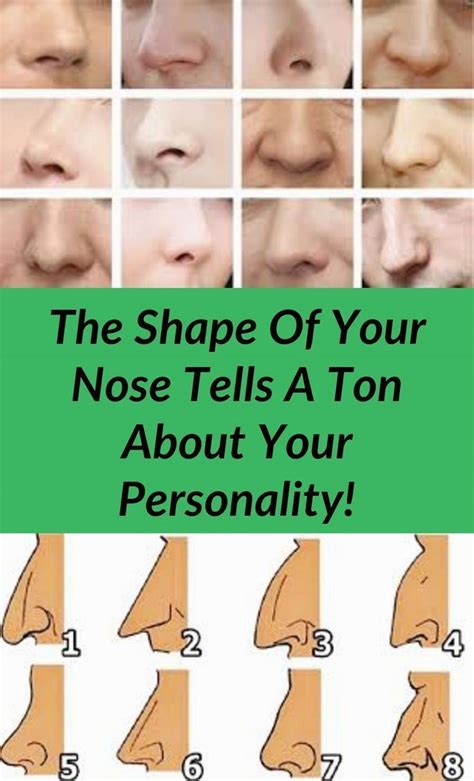 Select Your Nose Shape And Well Tell You Abouth Your Personality Greek