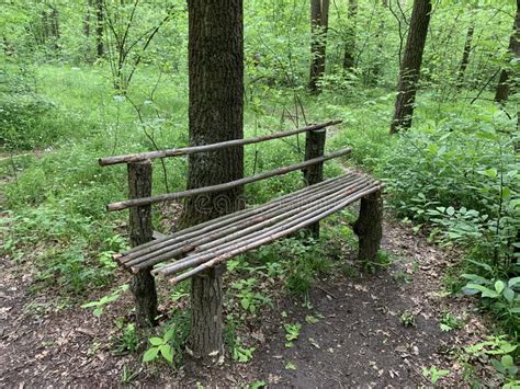 Wooden Bench In The Forest Among The Trees A Place To Relax In The