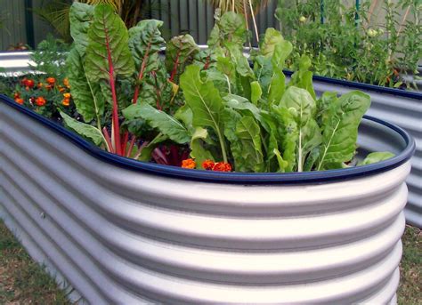 If you choose to build raised garden beds or greenhouses, your costs may increase a great deal. Joey's Place: My Water Tank raised vegetable garden beds.