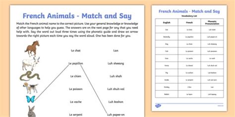 French Animals Match And Say Worksheet Worksheet