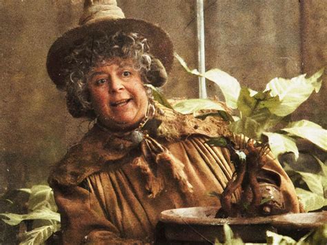 Harry Potter Wasn T Important To Miriam Margolyes