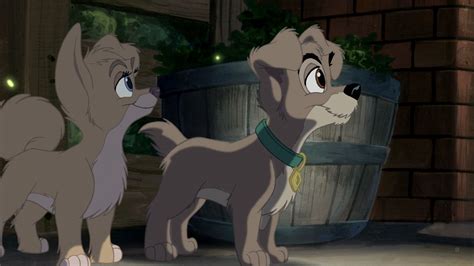 Angel And Scamp Lady And The Tramp Ii Scamps Adventure 2001 Lady