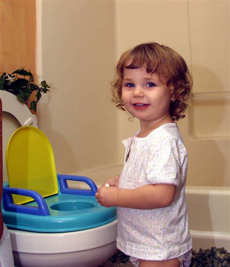 Allan Fray Potty Training Tips For A Boy To Poop