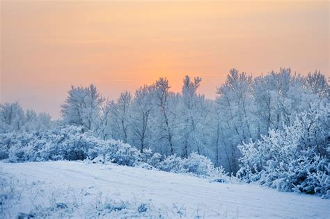 Winter Sunset Free Stock Photo - Public Domain Pictures