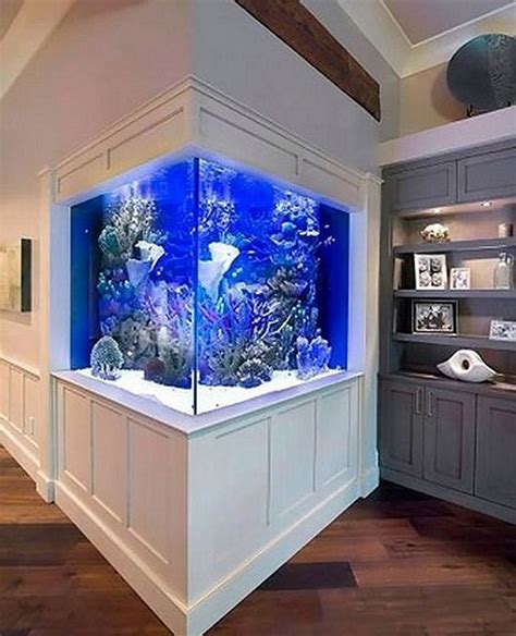 Gorgeous 50 Stunning Aquarium Design Ideas For Indoor Decorations