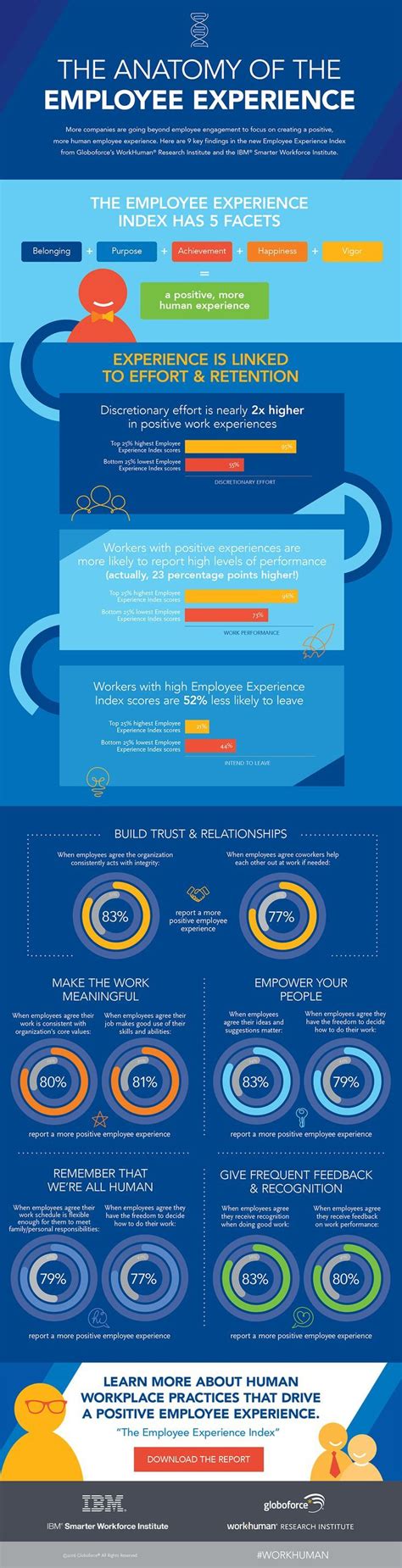 Management : [INFOGRAPHIC] The Anatomy of Employee Experience ...