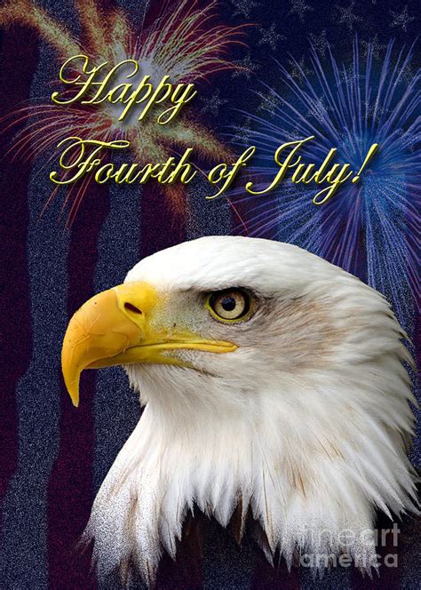 Fourth Of July Eagle Photograph By Jeanette K Fine Art America
