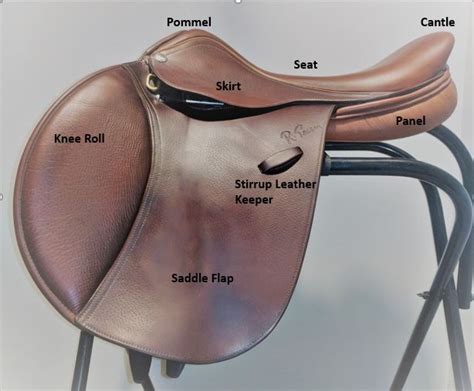 The 5 Best English Saddles For Hard To Fit Quarter Horses