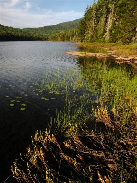 Siamese Ponds Wilderness Adirondack Wilderness Advocates