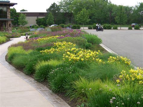 Roy diblik is a devoted perennial grower with a big range of native prairie plants in his assortment. Roy Diblik, co-owner of Northwind Perennial Farm in ...