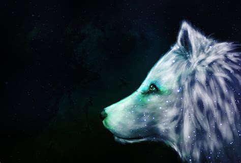 Galaxy Wolf By Heikevp On Deviantart