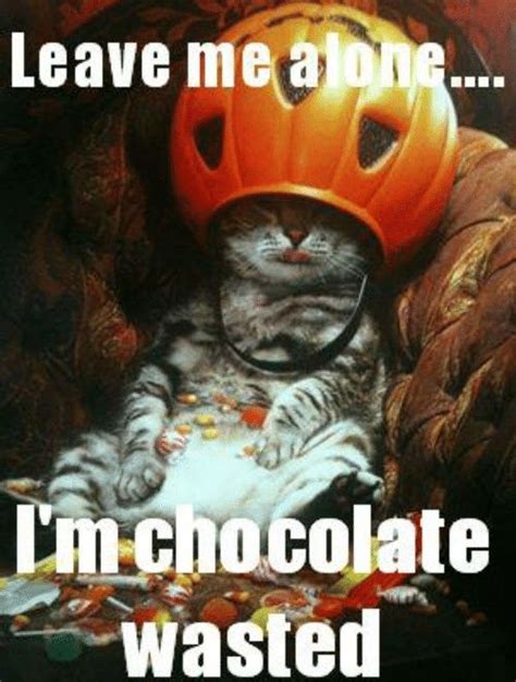 Pin By Pamela Goddard On Cute And Funny Pets ♡ Funny Halloween Memes