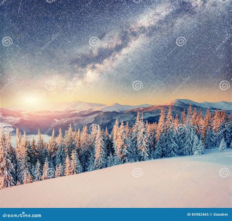 Starry Sky In Winter Snowy Night Carpathians Ukraine Europe Stock