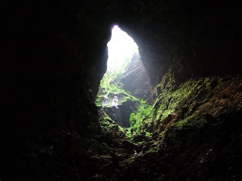 Dunns Hole Cave Jamaica This Cave Contains The Biggest Underground