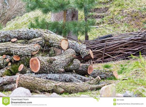 A Pile Of Natural Logs With Bark Stock Photo Image Of Material