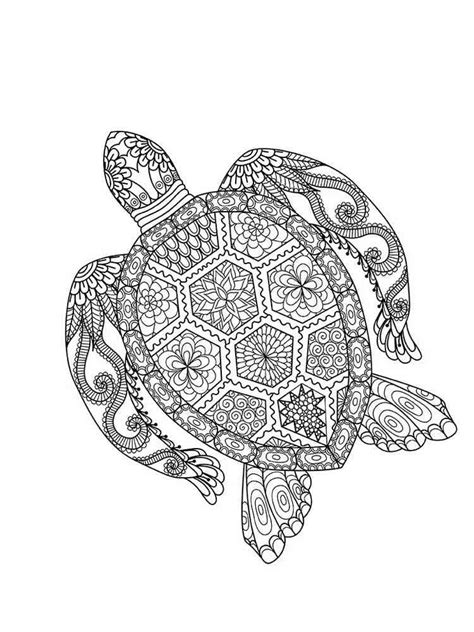 Sea Turtle Adult Coloring Page Adult Coloring Pages Turtle At