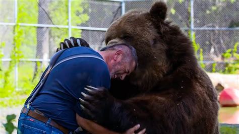 When A Huge Grizzly Bear Noticed The Man This Is What Happened Youtube