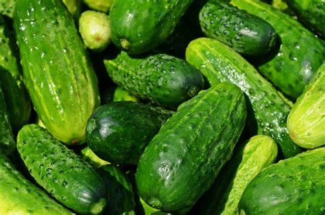 Bta price increased by 4.71% between min. cucumber - BISAYA