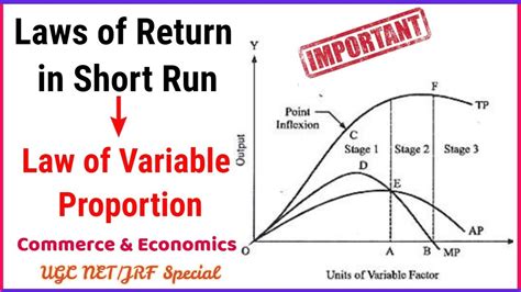 Law Of Variable Proportion Laws Of Returnproduction Function In