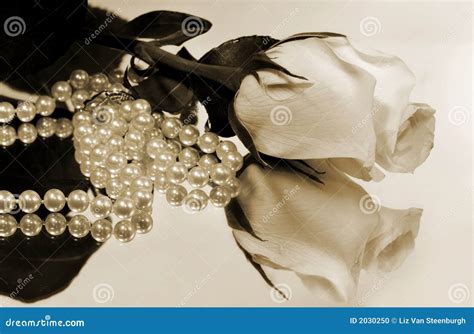 White Rose And Pearls Reflection Stock Photo Image Of Mirror Flora