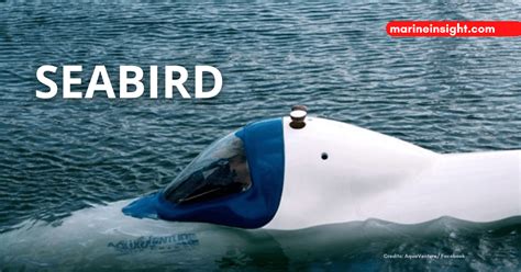 Seabird A Submersible Without An Engine