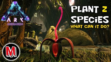Ark Plant Species Z What Can It Do Youtube