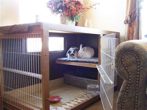 Inside Rabbit Cage Home Ideas
