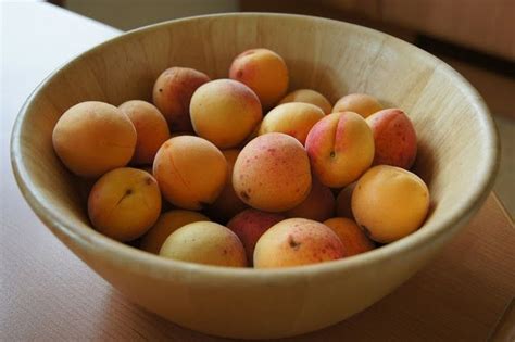 A Wise Woman Builds Her Home Fresh And Healthy Apricot Sorbet Recipe