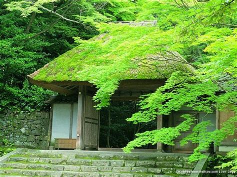 Free Download Kyoto Japanese Garden WallpapersJapanese Garden In Kyoto Zen Garden X For