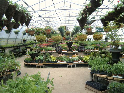 Garden Centres And Nurseries Near Me