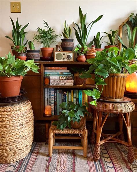 Cool Como Decorar Interiores Con Plantas Ideas