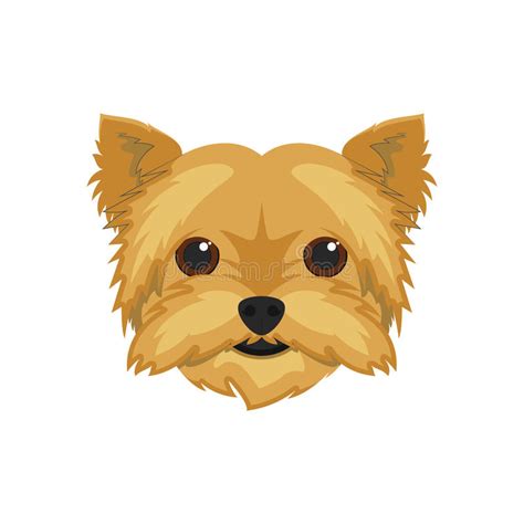 yorkshire terrier dog vector illustration stock vector illustration  domestic cartoon