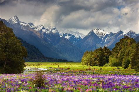 Luxury New Zealand Tours And Private Vacation Packages An Ultimate