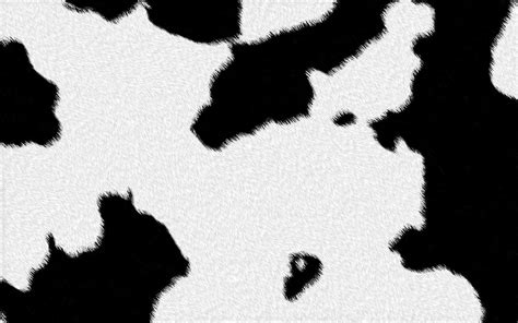 26 Beautiful Cow Print Wallpapers Hq Definition