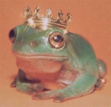 Pin By Lizard Kam On Aesthetic In 2020 Cute Frogs Cute Little