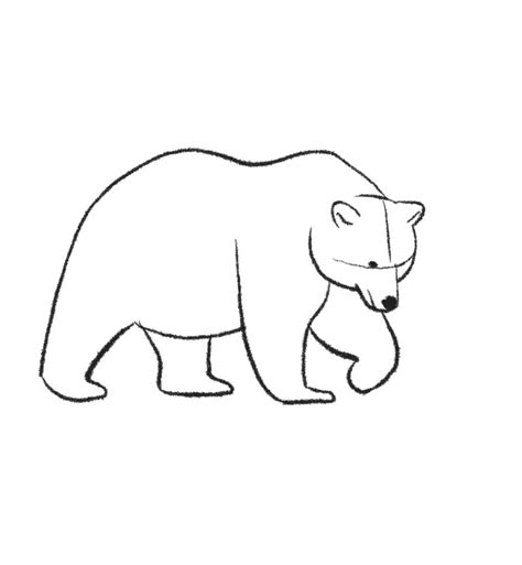 How To Draw A Grizzly Bear Easy Step By Step Jae Johns